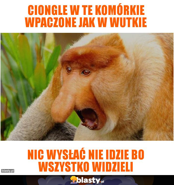 CIONGLE W TE KOMÓRKIE WPACZONE JAK W WUTKIE