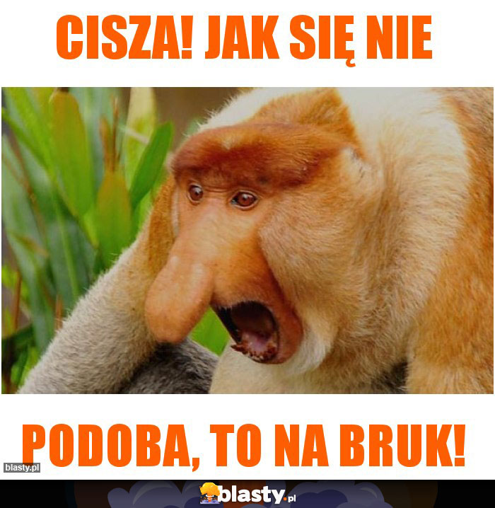 CISZA! Jak się nie