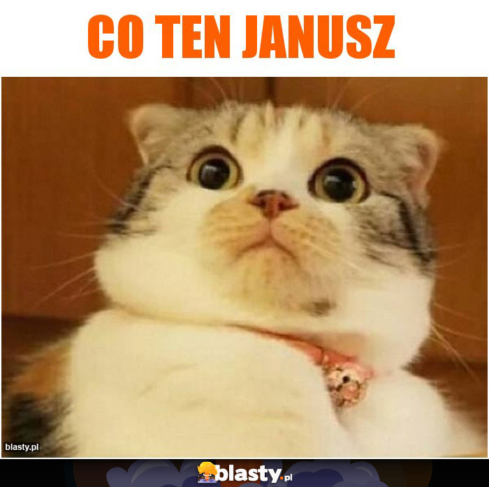 Co ten janusz