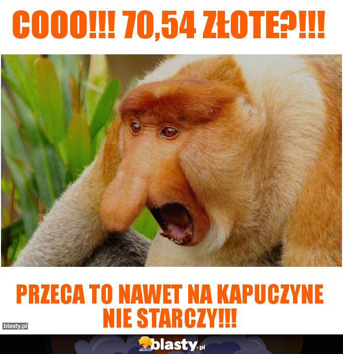 COOO!!! 70,54 złote?!!!