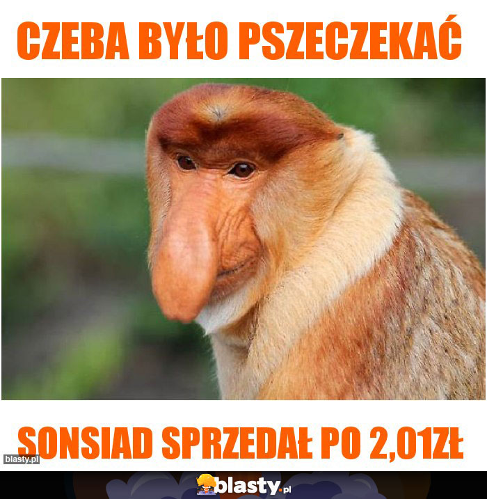 Czeba było pszeczekać