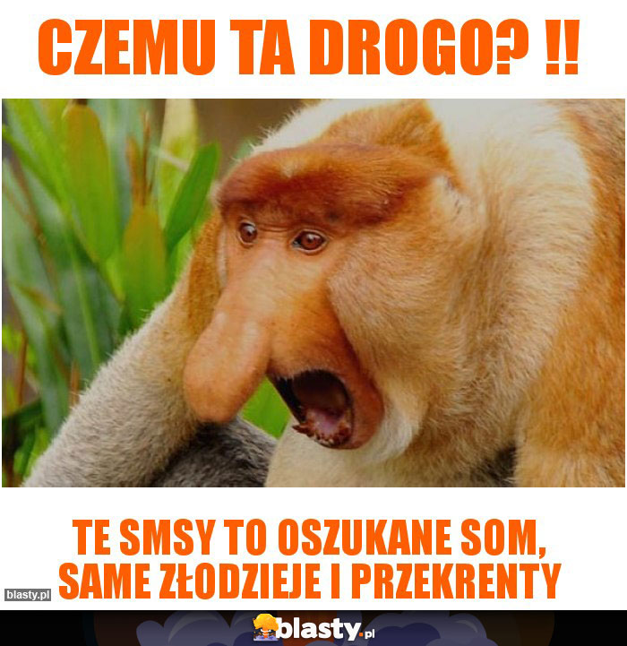 Czemu ta drogo? !!