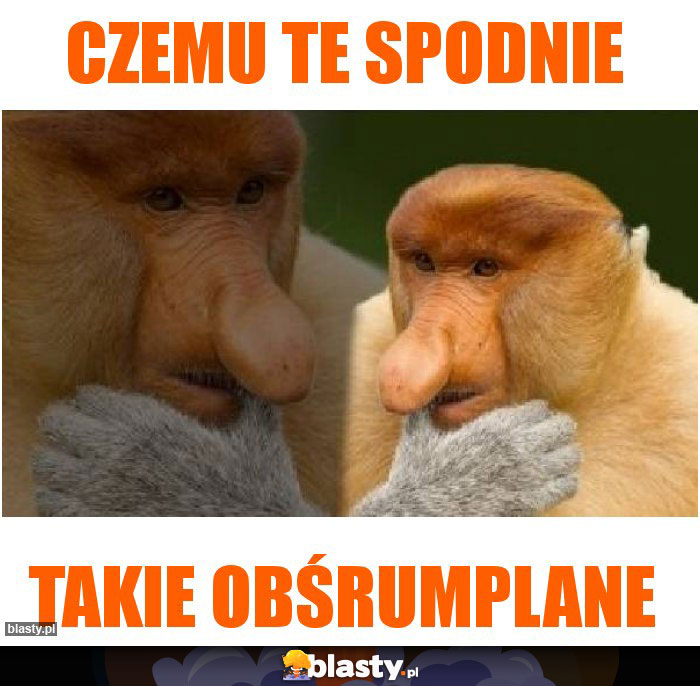 Czemu te spodnie