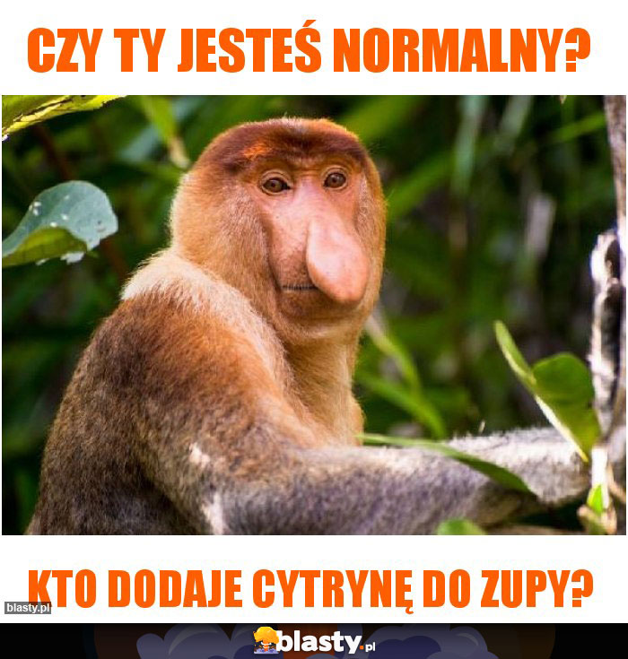 Czy ty jesteś normalny?