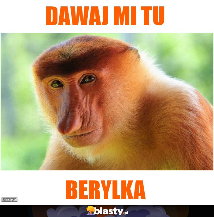 dawaj mi tu