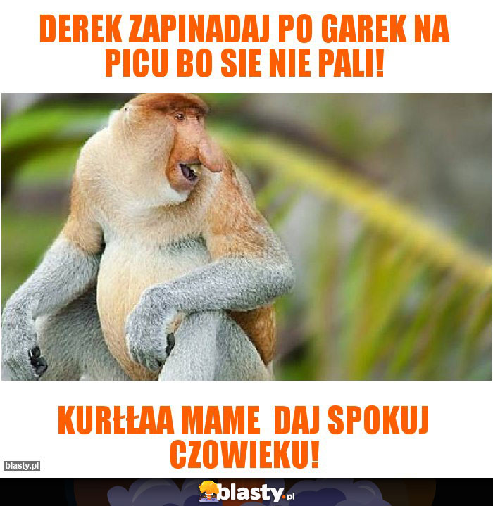 Derek zapinadaj po garek na picu bo sie nie pali!