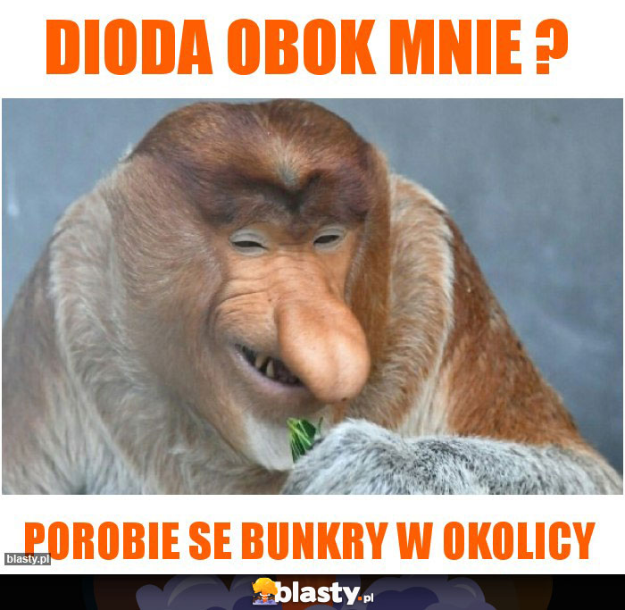 Dioda obok mnie ?