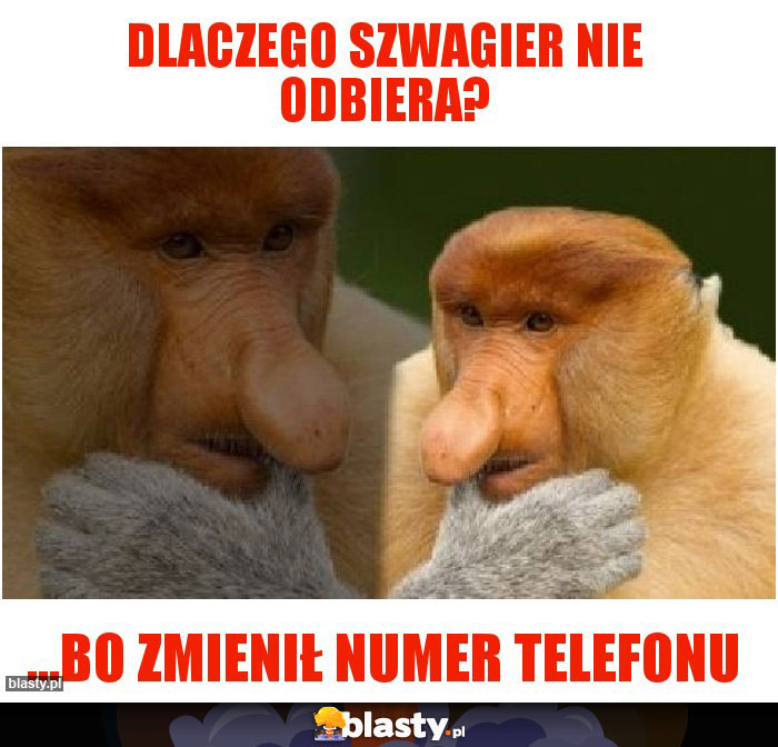 dlaczego szwagier nie odbiera?