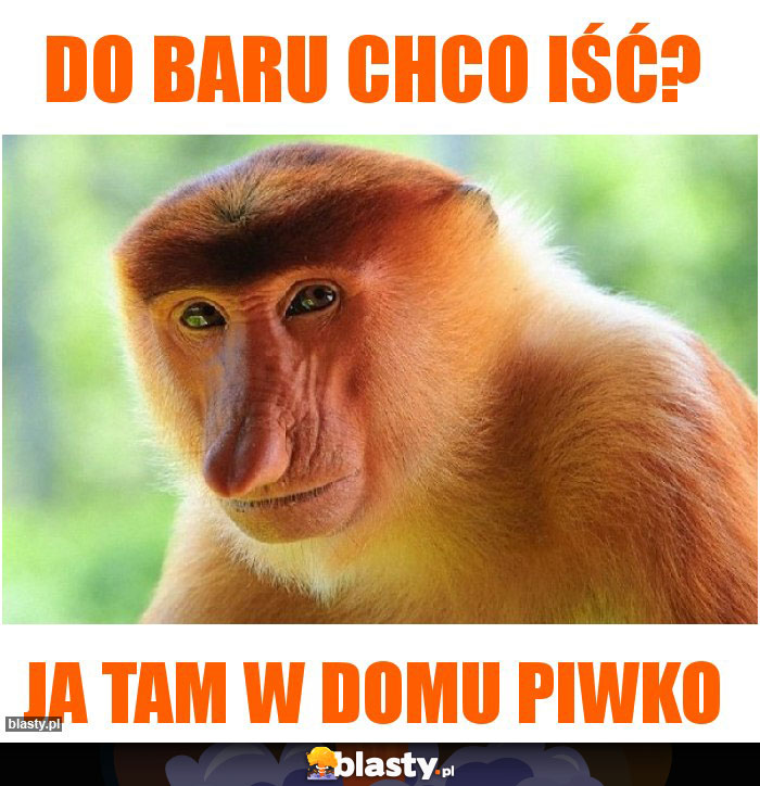 Do baru chco iść?