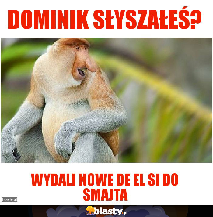 Dominik słyszałeś?