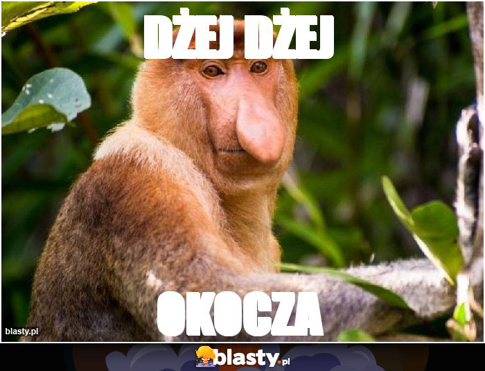 Dżej Dżej