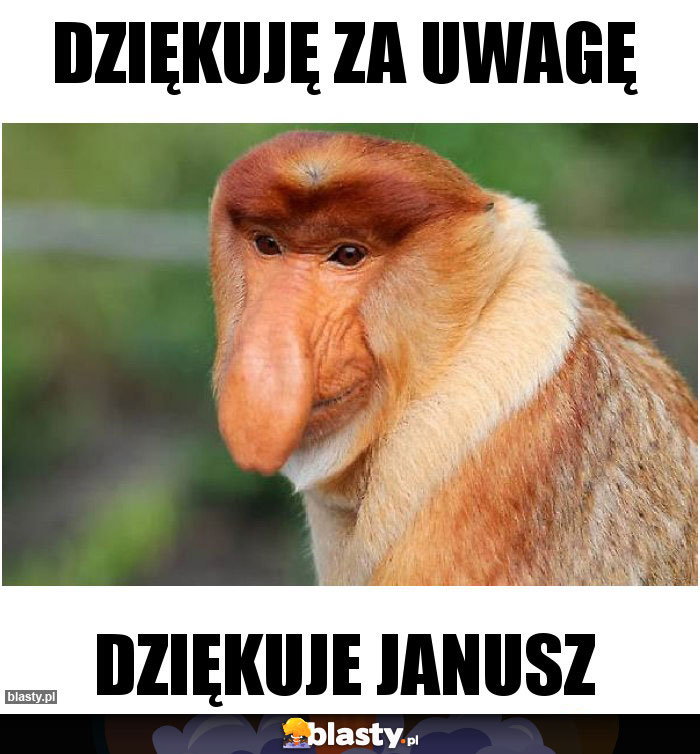 DZIĘKUJĘ ZA UWAGĘ