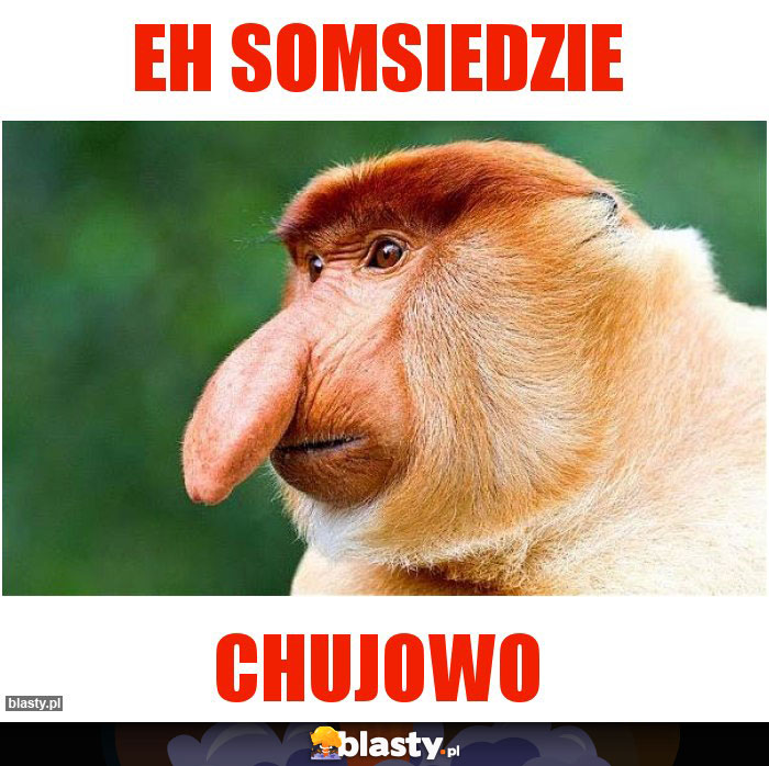 Eh Somsiedzie