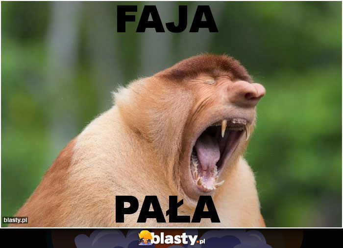 FAJA