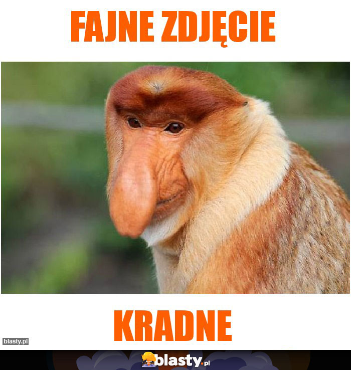 Fajne zdjęcie