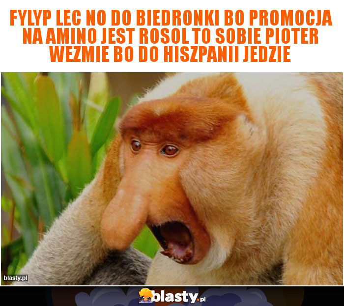 Fylyp lec no do biedronki bo promocja na amino jest rosol to sobie pioter wezmie bo do hiszpanii jedzie