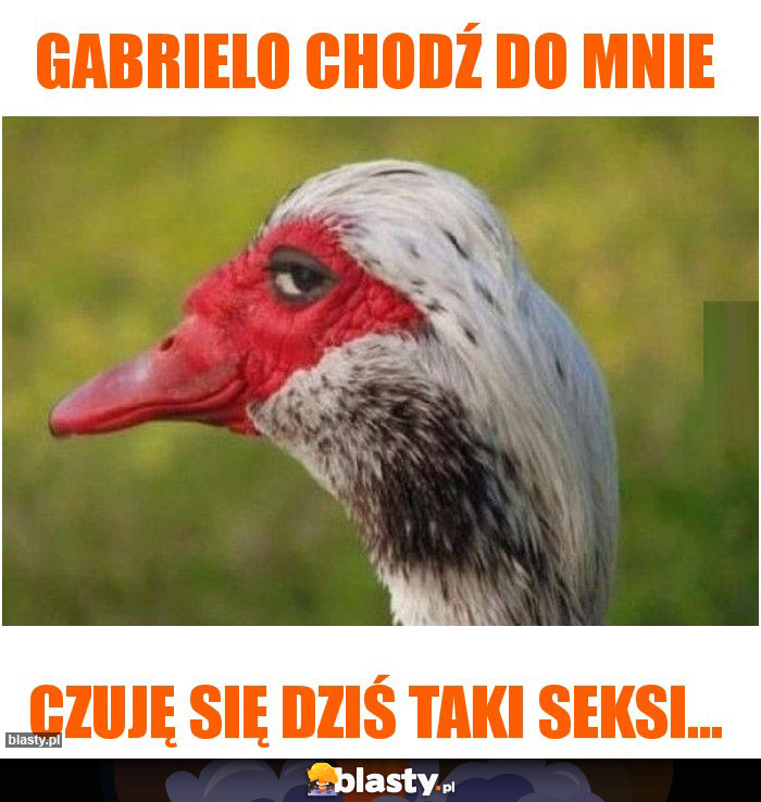 Gabrielo chodź do mnie