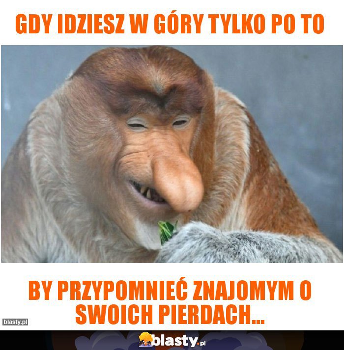 Gdy idziesz w góry tylko po to