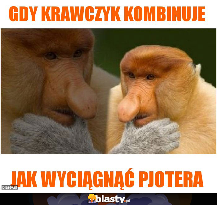 Gdy Krawczyk kombinuje