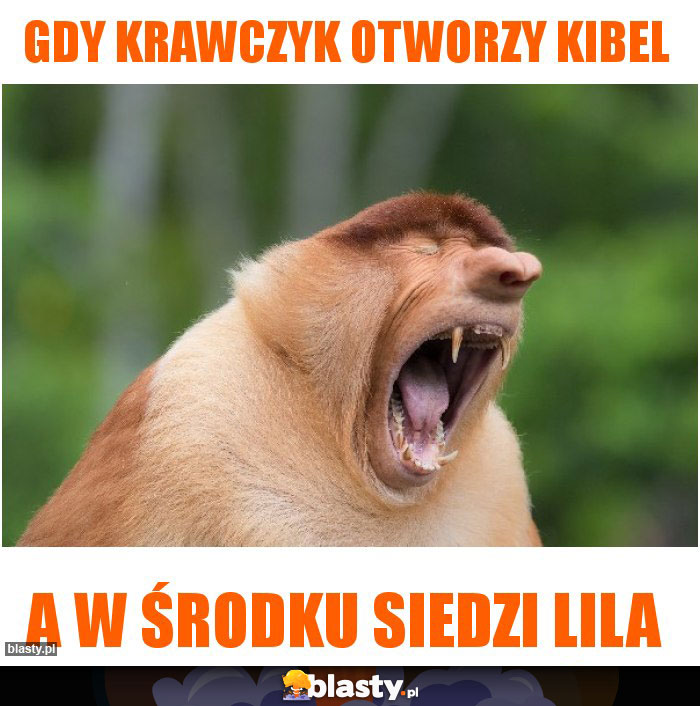 Gdy Krawczyk otworzy kibel