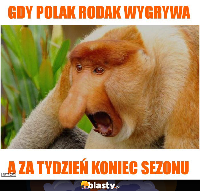 Gdy polak rodak wygrywa