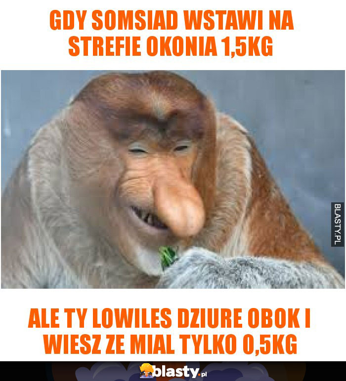 Gdy Somsiad wstawi na strefie okonia 1,5kg