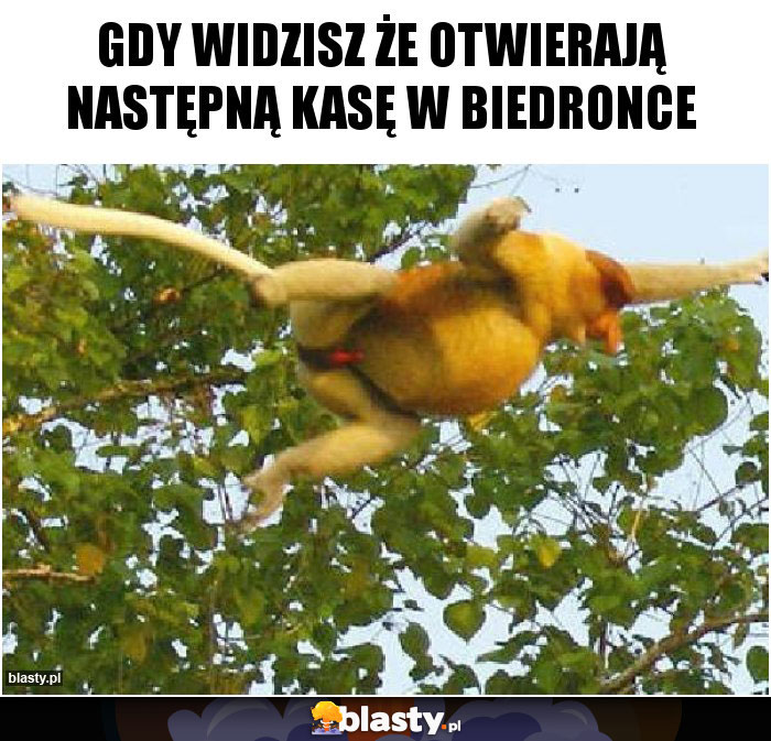 Gdy widzisz że otwierają następną kasę w biedronce