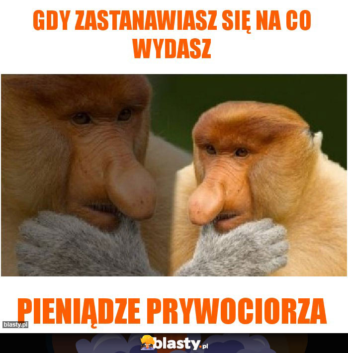 Gdy zastanawiasz się na co wydasz