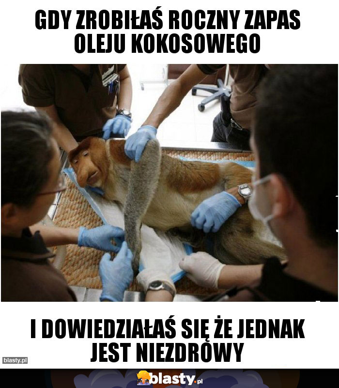 Gdy zrobiłaś roczny zapas oleju kokosowego