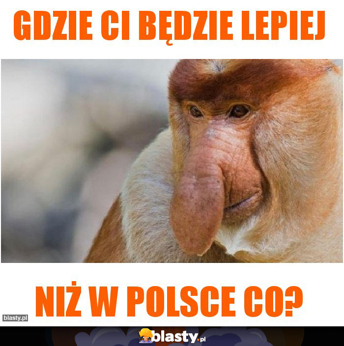 Gdzie Ci będzie lepiej