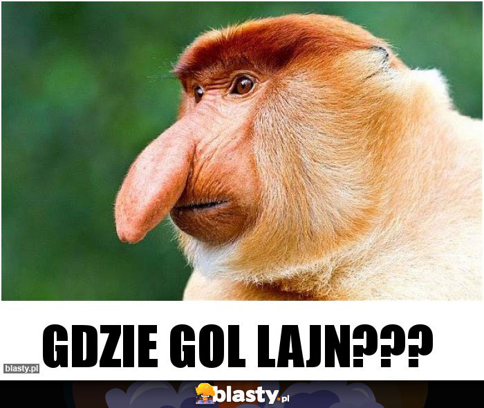 Gdzie gol lajn???