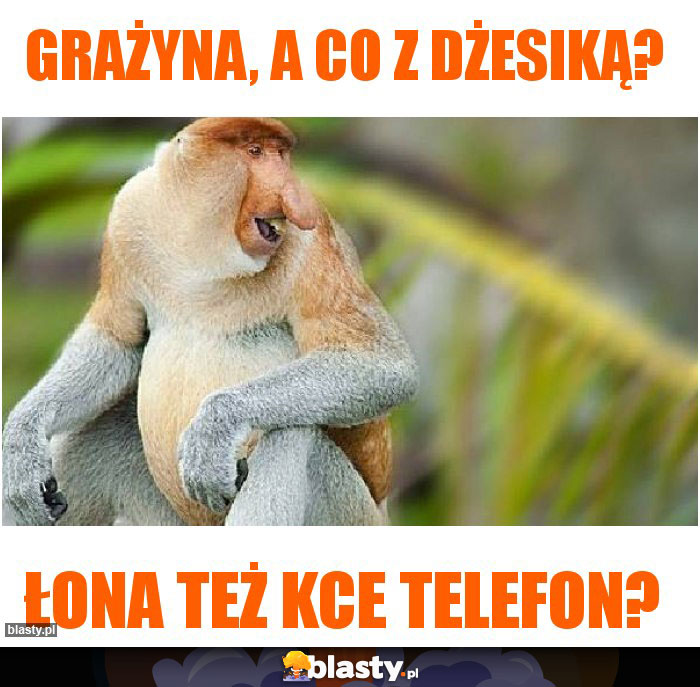 grażyna, a co z dżesiką?