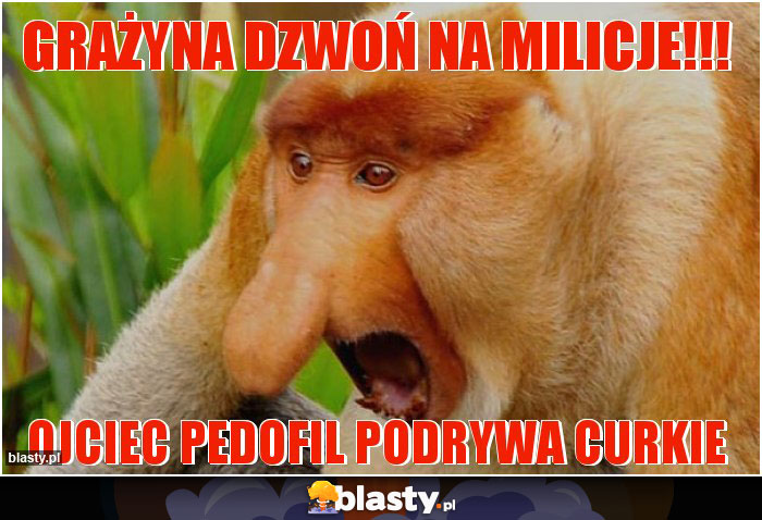 GRAŻYNA DZWOŃ NA MILICJE!!!