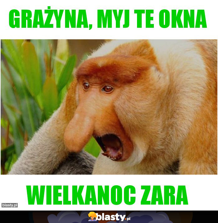 Grażyna, myj te okna