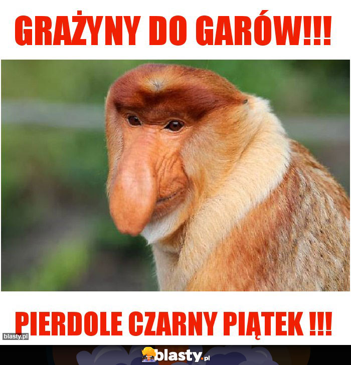 GRAŻYNY DO GARÓW!!!