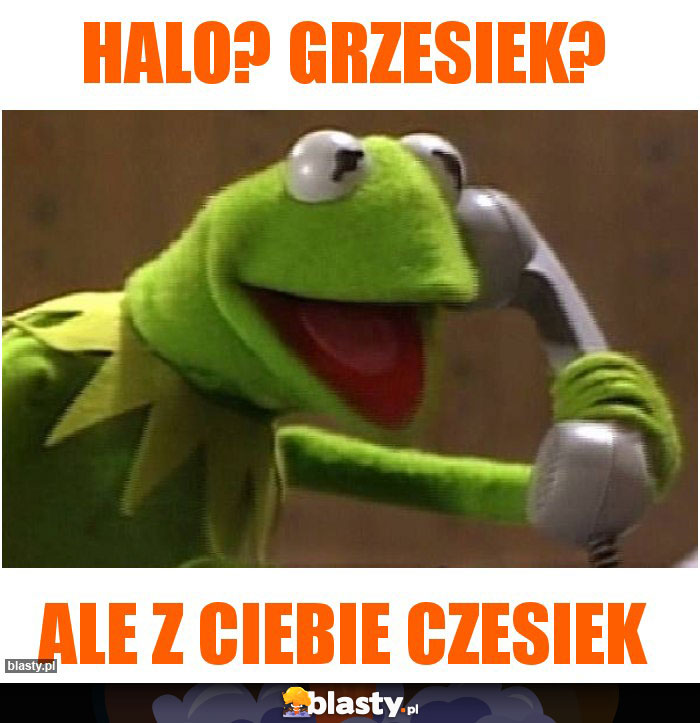 Halo? Grzesiek?