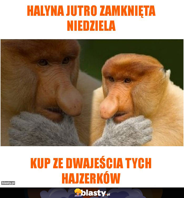 Halyna jutro zamknięta niedziela