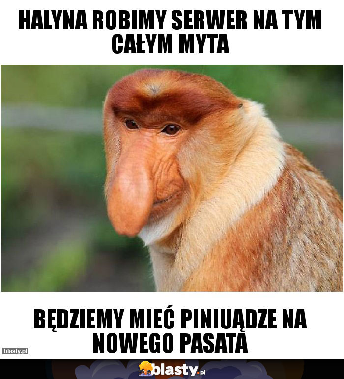 Halyna robimy serwer na tym całym MYTA