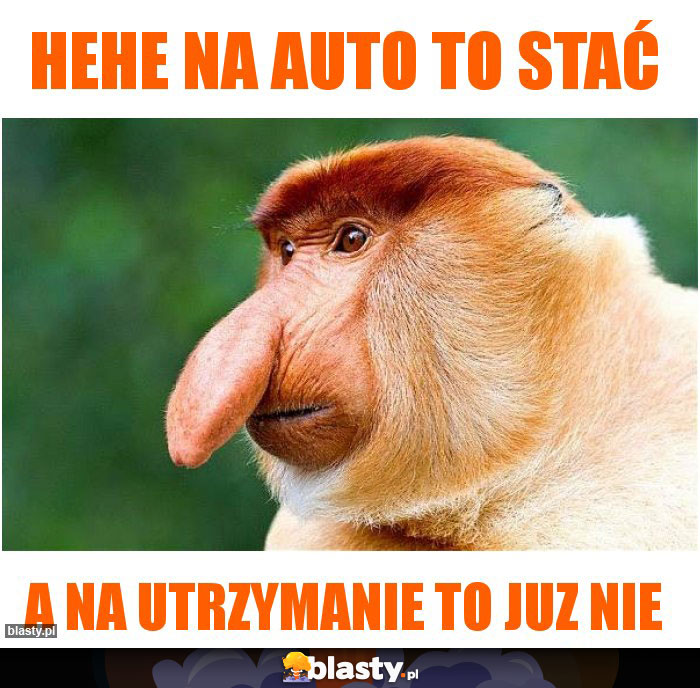 hehe na auto to stać