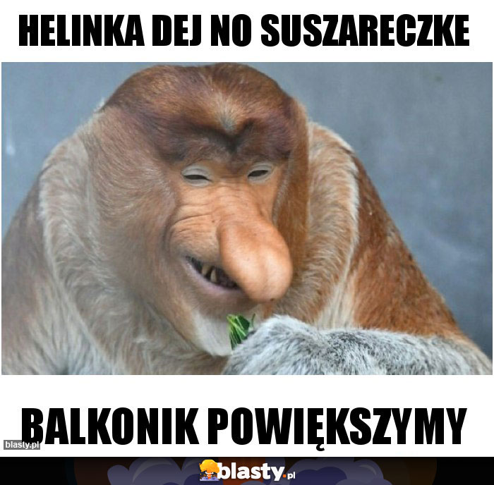 Helinka dej no suszareczke