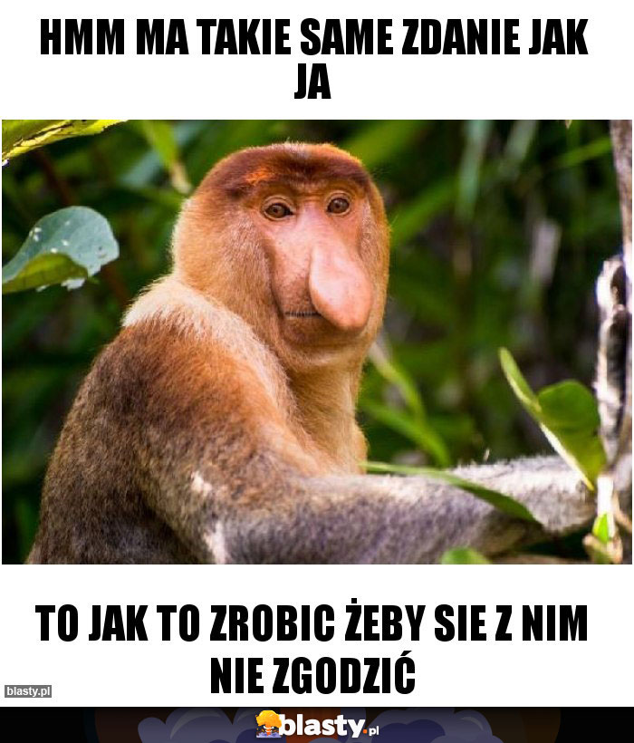 Hmm ma takie same zdanie jak ja