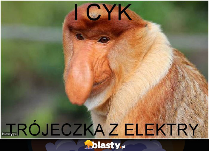 I cyk