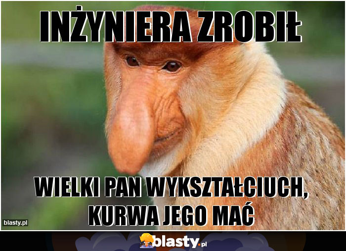 inżyniera zrobił