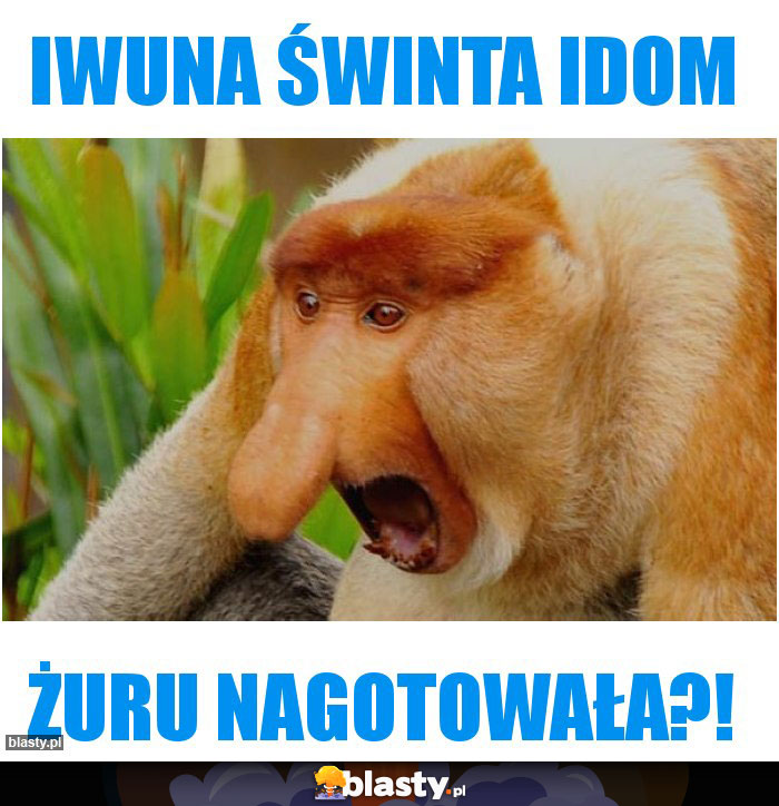 Iwuna świnta idom