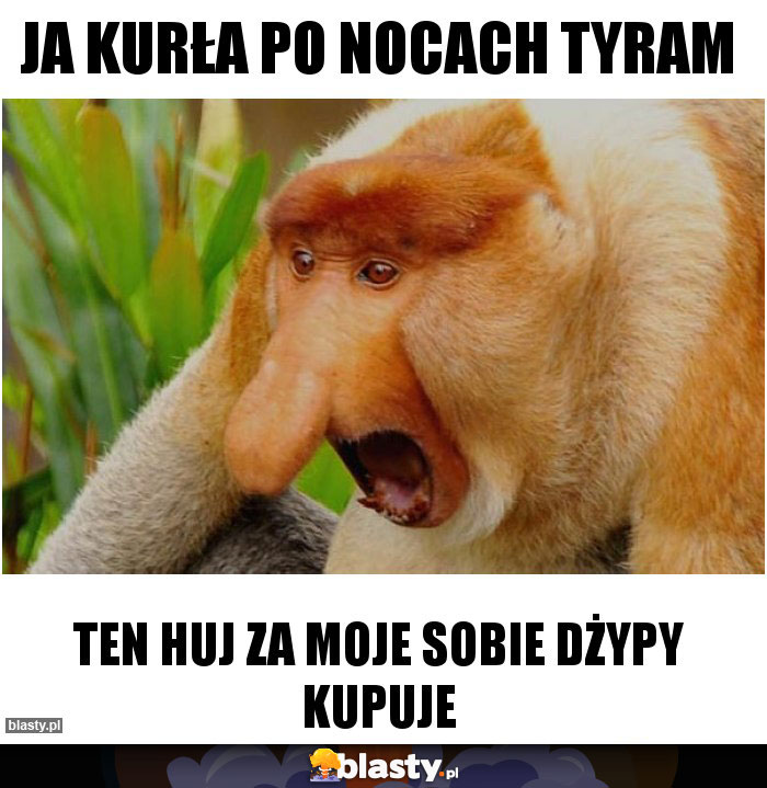 JA KURŁA PO NOCACH TYRAM