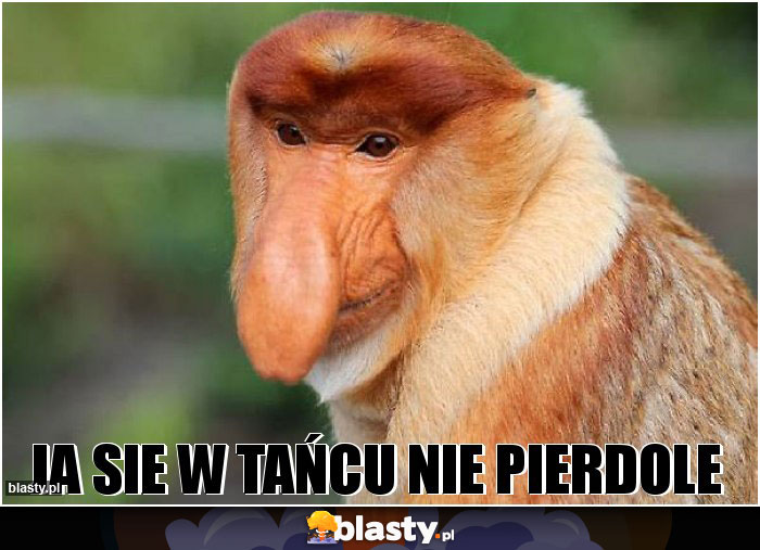 Ja sie w tańcu nie pierdole