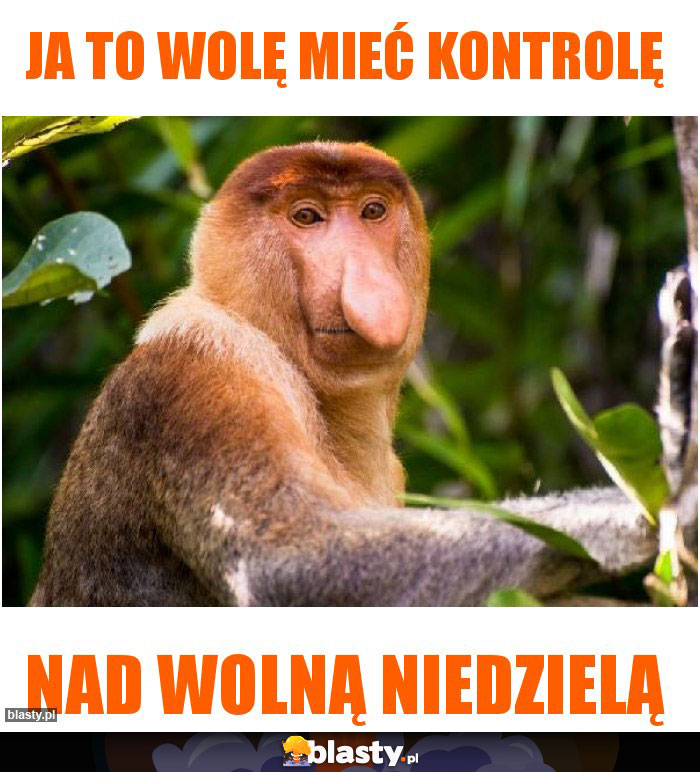 Ja to wolę mieć kontrolę