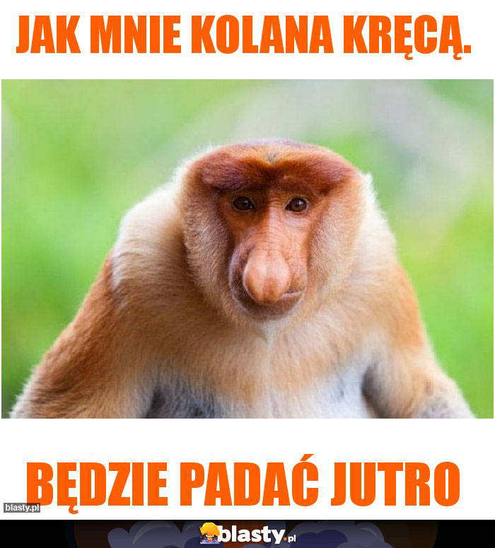 Jak mnie kolana kręcą.