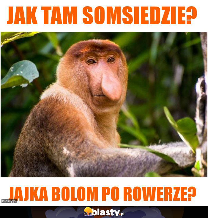 Jak tam somsiedzie?