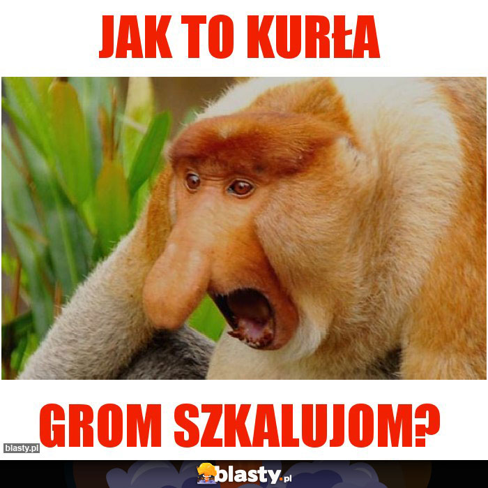 JAK TO KURŁA